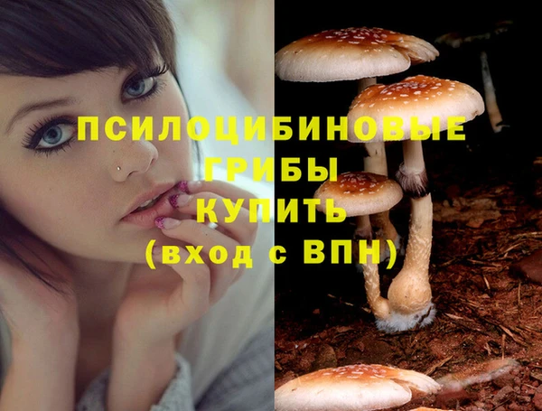 первитин Богородицк