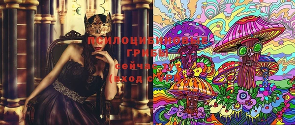первитин Богородицк