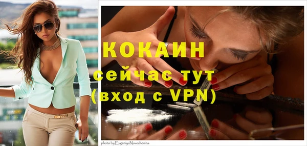 первитин Богородицк