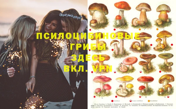 первитин Богородицк