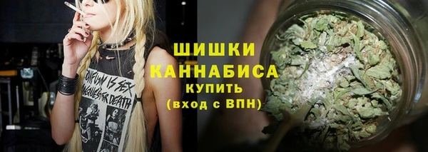 первитин Богородицк