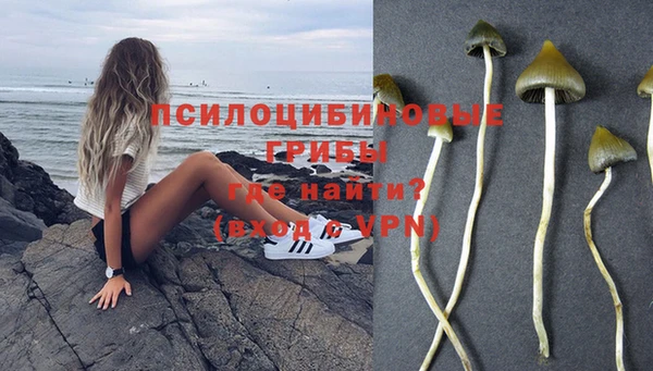 первитин Богородицк