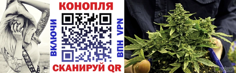 hydra онион  Новоржев  Каннабис Amnesia  купить наркотик 